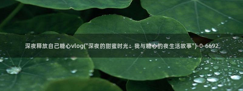 糖心vlog在线观看免费版