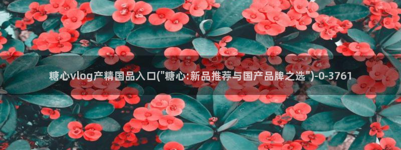 心糖vlog日常：糖心vlog产精国品入口(\