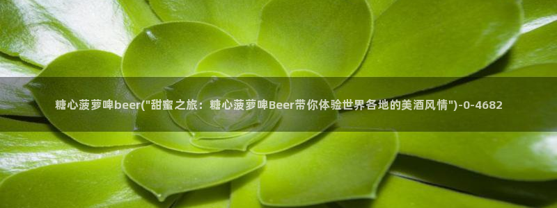 糖心vlog高清无码：糖心菠萝啤beer(\