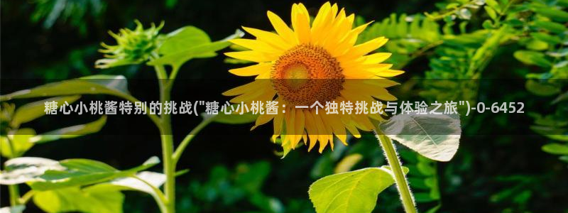 糖心velog：糖心小桃酱特别的挑战(\