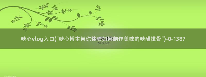 糖心破解版vlog