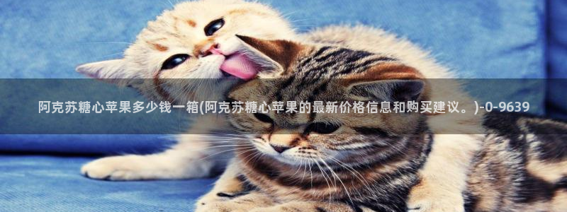 糖心vlog玩偶在线
