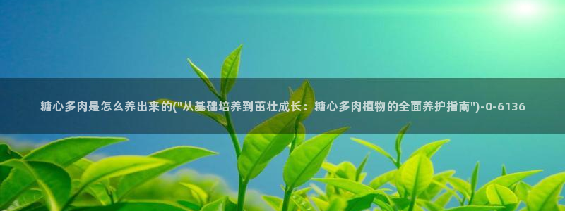 糖心vlog1
