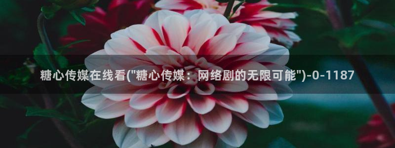 糖心vlog国产传媒入口