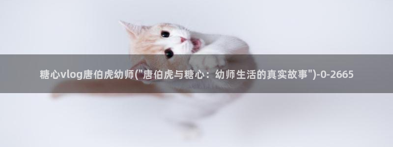 糖心视频vlog最新入口