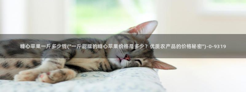 糖心vlog星辰