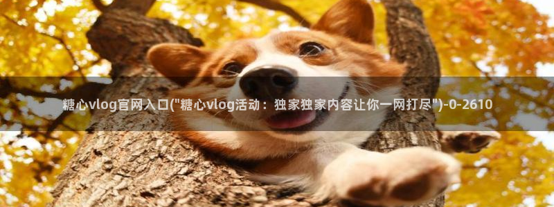 糖心vlog免费进入