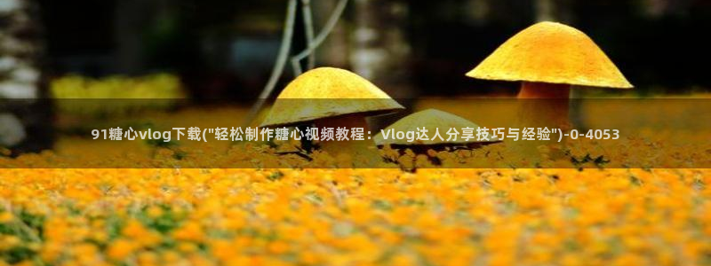 糖心vlog下载大全