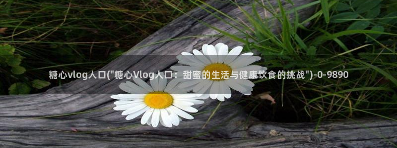 糖心vlog ios下载