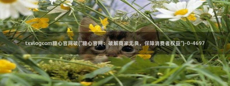 糖心vlog完整版在线观看